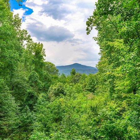 Villa Ken'S Cabin Blue Ridge Exterior foto